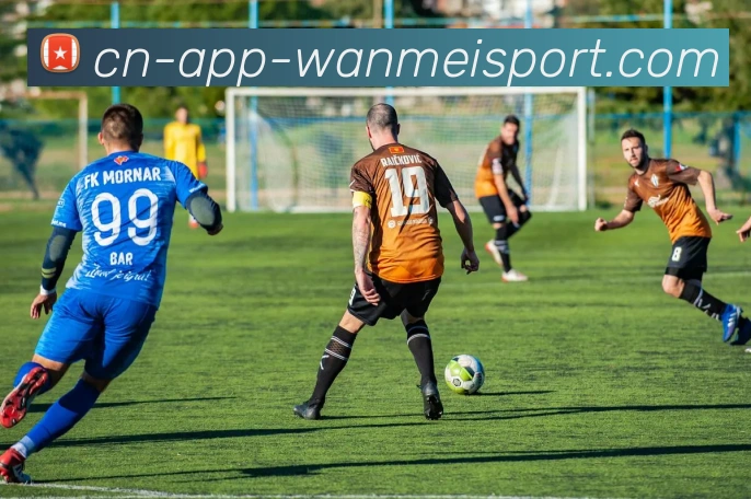 完美体育app平台生态图